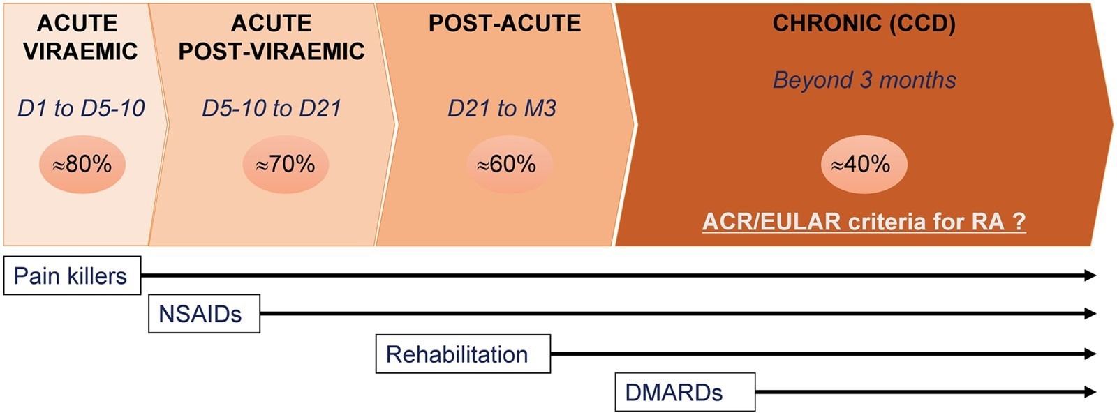 Stages of chikungunya disease are represented with globally estimated prevalence (% in circles), CDD for chronic chikungunya disease, D for days, and M for months. The time for the introduction of therapeutic strategies is represented under the graph with NSAIDs for non-steroidal anti-inflammatory drugs, DMARDs for disease-modifying anti-rheumatic drugs. American College of Rheumatology (ACR) and European League Against Rheumatism (EULAR) are diagnostic criteria for rheumatoid arthritis (RA).