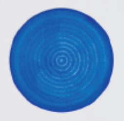 Vibration-induced concentric ring pattern in a 100mm dish containing chick embryo fibroblasts that was stained 1 hour after plating.