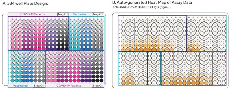 Analysis of anti-SARS-CoV-2 Spike RBD IgG, IgM, and IgA antibodies in serum from recovered COVID-19 patients or individuals vaccinated with the BNT162b2 (Pfizer-BioNTech) vaccine. Serum samples were diluted 1:100 in Assay Diluent and then serially diluted 1:3 in triplicate. Serum collected from two COVID-19 negative individuals were included as negative controls (Neg. Ctl). Each color represents triplicate dilution curves which were repeated in different quadrants of plate. (A) Plate layout (B) Heat Map of anti-SARS-CoV-2 Spike RBD IgG concentrations per well (ng/mL).