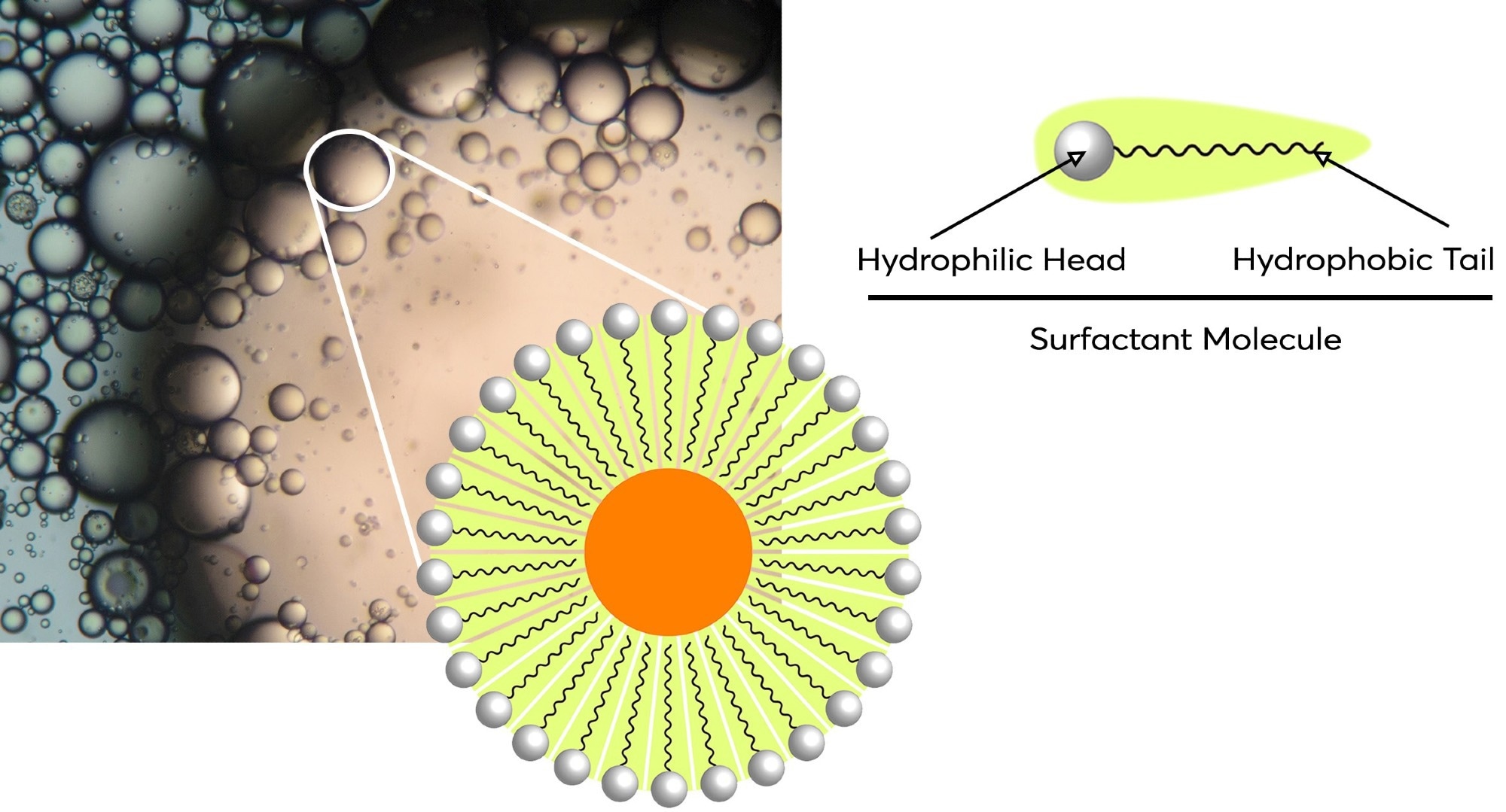 Sample preparation via Supported Liquid Extraction Vs. Liquid Liquid Extraction
