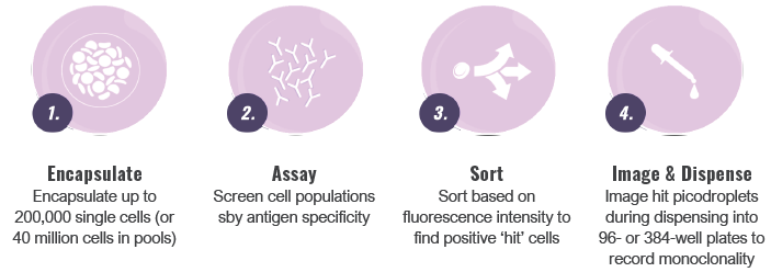 Cyto-Mine®: Developing an improved hybridoma-based antibody discovery process