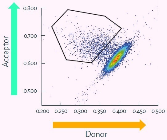 Finding and isolating high-production clones with monoclonality