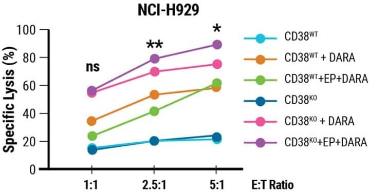 NK cell engineering with MaxCyte®