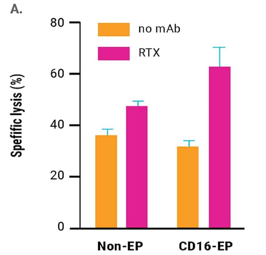 Role of NK cells for enhanced combination therapy to treat B-cell lymphoma