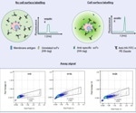 Accelerating biotherapeutic development through novel picodroplet assays