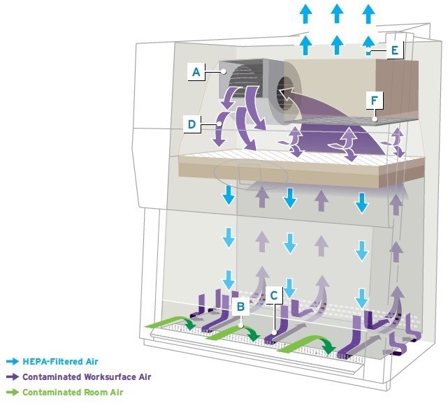 Biosafety cabinets: Single motor or dual motor?