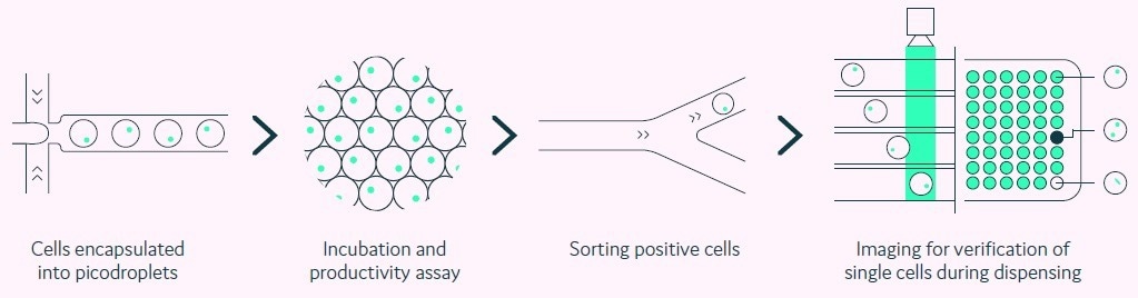 Optimizing cell line development processes with Cyto-Mine®