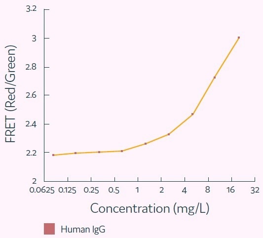 Streamlining IgG-secreting cell screening to discover rare, high-producing clones