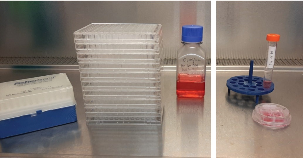 Overcoming the challenges of limiting dilution