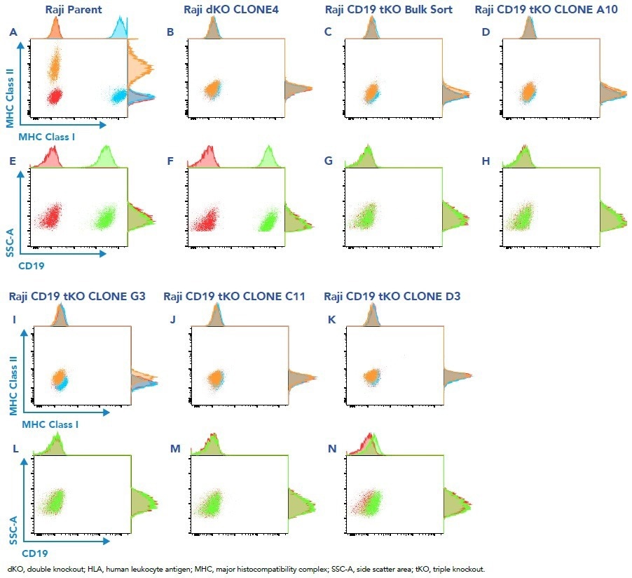 How to accelerate the generation of single-cell clones
