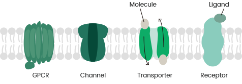 Exploring the significance of transmembrane protein expression for advancing science and medicine