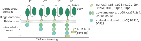 CAR-NK: The next generation in Hematological Malignancy Treatment