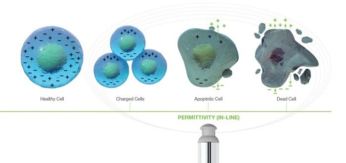 Cell culture monitoring: exploring permittivity measurements versus viable cell counts