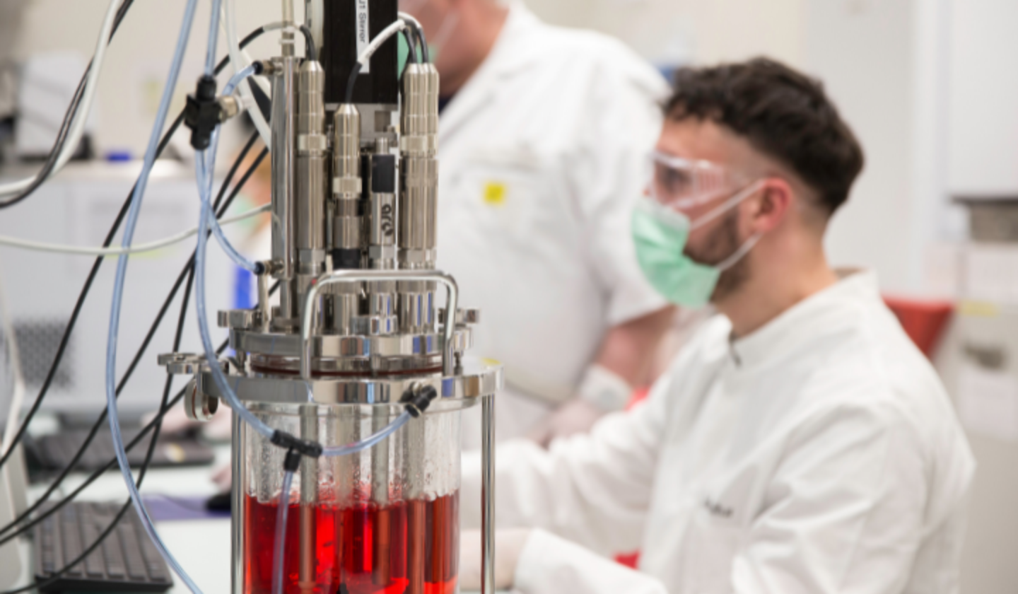 How is cell culture manufacturing leveraged for cultivated meat?