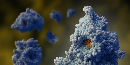 Creating the most difficult proteins