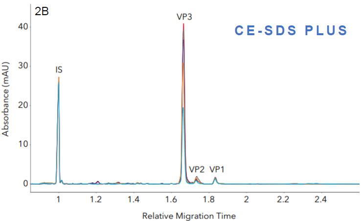 Measuring the capsid protein ratio of AAVs with Maurice CE-SDS. Five AAV samples with different transgenes were analyzed with A. Turbo CE-SDS and B. CE-SDS PLUS. Different sample profiles were clearly captured by both methods, from which the respective capsid protein ratios were measured. In both cases, the peak profiles and viral protein ratios remain comparable.