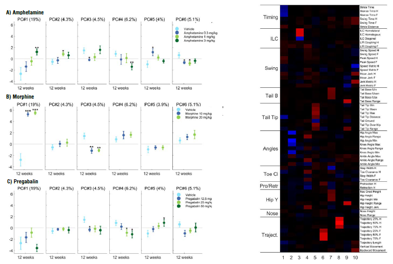 Fine motor and gait profiles of C57BL/6J mice treated with amphetamine (A), morphine (B) and pregabalin (C).