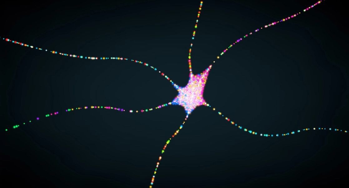 Exploring chronic pain: TRP ion channels as promising targets for safer and more effective pain management treatments