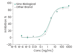 Measured by its ability to inhibit proliferation of MPC-11 cells. The specific activity is >1000 U/mg.