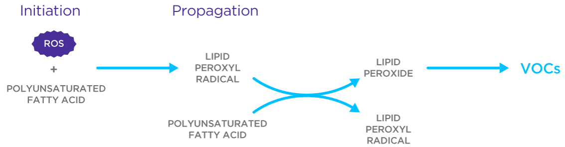 What are the most recent advances in biomarkers for asthma