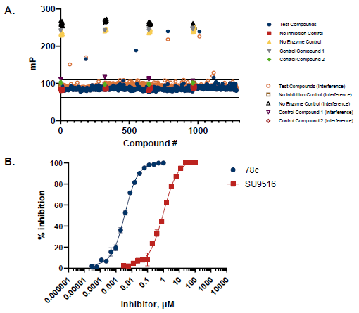 CD38 Pilot Screen and Dose Response. A. 1280 compounds were screened from the Tocris 2.0 Library set. An interference screen was performed to eliminate compounds interfering with coupling enzyme and/or detection reagents. A total of 5 potential inhibitors were identified with polarization values ≥ 3 standard deviations above the mean, in which one showed no interference with assay detection mixture. B. A selected hit from the pilot screen (SU9516) and the control compound (78c) were tested in dose-response mode with IC50 of 1.01 µM and 4 nM, respectively