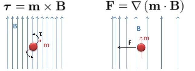 Unlocking the secrets of magnetic separation technology: Innovations in biomedical and industrial applications