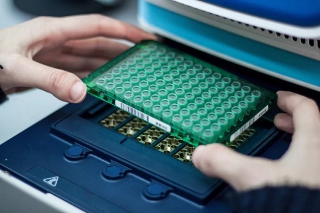 Polymerase Chain Reaction (PCR) Instruments