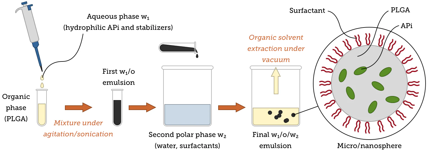 What are the medical applications of PLGA nanoparticles?