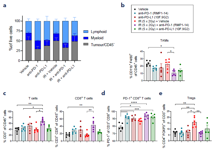 Changes to the intratumoural immune composition induced by IR + ICI combinations on day 9 of treatment. (a) Frequency of lymphoid and myeloid CD45+ cells and tumour/CD45- cells as a percentage of live cells, (b) frequency of tumour associated macrophages (TAMs) as a percentage of CD45+ cells, (c) frequency of CD3+ T cells and CD8+ T cells as a percentage of CD45+ cells, (d) frequency of PD-1+ cells as a percentage of CD8+ T cells, (e) frequency of regulatory T cells (Tregs) as a percentage of CD3+ T cells. Bars represent mean ±SEM, n = 5 or 6 per group, *p<0.05, **p<0.01, ***p<0.001, ****p<0.0001 as determined by one-way ANOVA with Tukey’s multiple comparisons test.