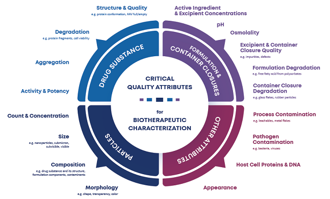 Figure 1. Various critical quality attributes that researchers may need to monitor