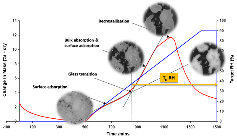 Ramping experiment of spray dried lactose from 0-90% RH at a rate of 10% RH per hour showing a phase change through the glass transition stage with sample photos at each stage