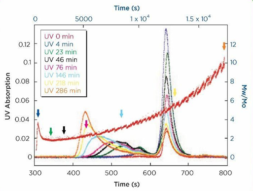 SEC elution profiles (UV absorbance) overlayed with Mw(t)/Mo output (ARGEN) vs. time (t) for a monoclonal antibody.