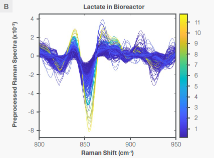Characteristic Raman peaks of lactate at ~860 cm-1 in aqueous solution (plot A) and bioreactor (plot B) as second derivative (negative peaks) spectra. The spectra are color-coded by the concentration shown as the vertical bar.