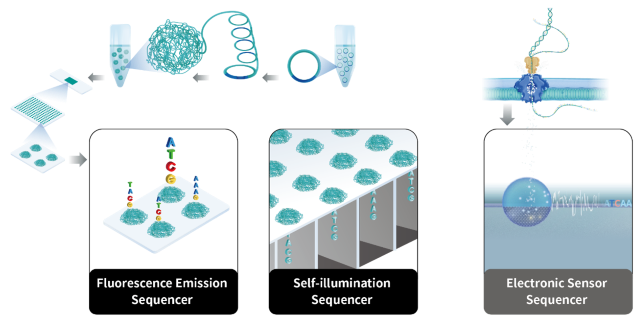 How MGI Tech’s SEQ ALL is transforming genomic research