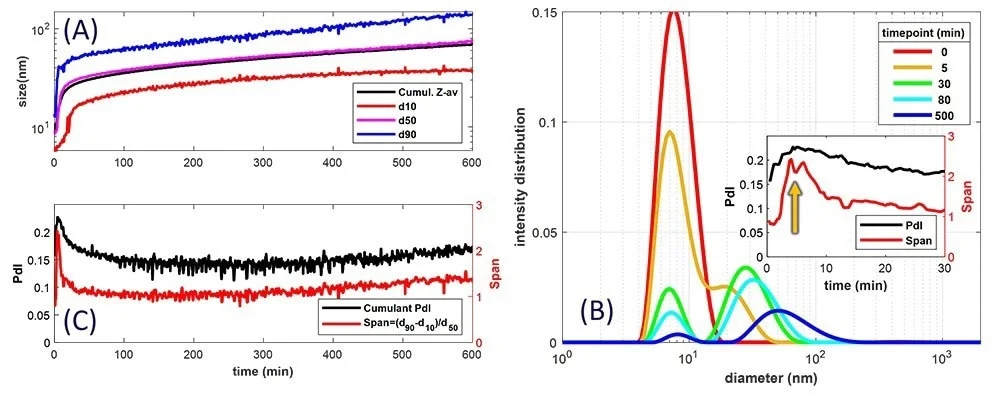Using the NanoFlowSizer Thalia-2 with PhaSR-DLS mode to monitor details of BSA-protein solutions during thermal unfolding and aggregation A) Z-av size and cumulative percentile sizes d10, d50 and d90, of the intensity-based size distribution. B) Intensity-based size distributions at different stages of the experiment. Inset: Characteristic of the width of the distribution during aggregation, for the first 30 minutes: black: the polydispersity index obtained from cumulant analysis, red: the span obtained from the intensity distributions C) The PdI and span for the whole time scale of the experiment.