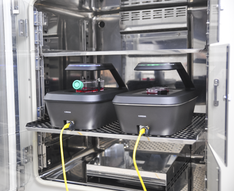 Celloger Mini-Plus (2 units) inside CO2 incubator