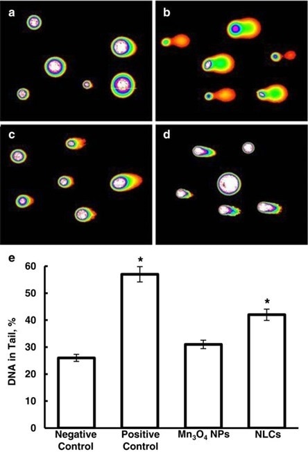Tumor-targeted responsive nanoparticles for MRI and therapy