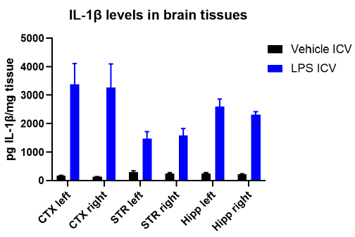 Acute ICV administration