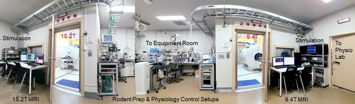 Advancing brain physiology and function measurements with UHF MRI techniques