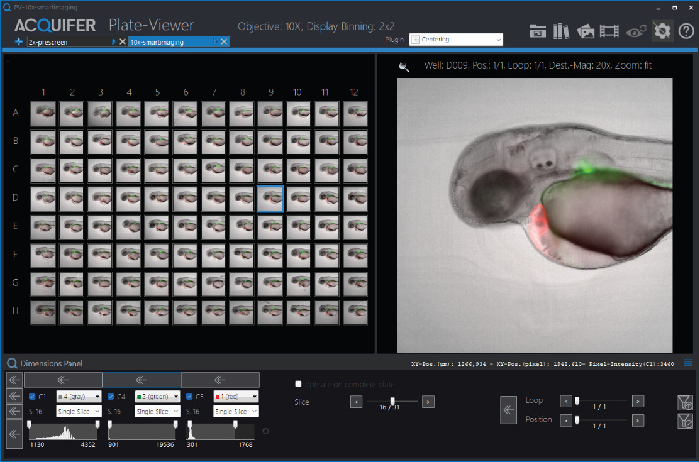 Overview of the Plate-Viewer functionalities. Visualization of identical planes of all available wells within a microtiter plate (left). Preview of the currently selected well coordinate (right). Control panels in the top right corner enable the generation of colored overlay images and the display of selected channels. Control panels in the lower left corner allow channel-specific adjustment of the histogram and the choice of navigation mode through multidimensional datasets (e.g., slice, loops, or subpositions)