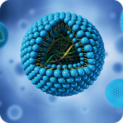 The evolution of lipid nanoparticles