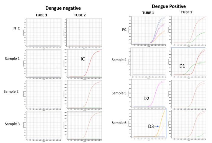 Image representing probe based Real-Time amplification plots of different DENV serotypes and IC detected in clinical samples using Hi-PCR® Dengue Serotyping Probe PCR Kit 2.0 on Insta Q96® Plus Real Time PCR System