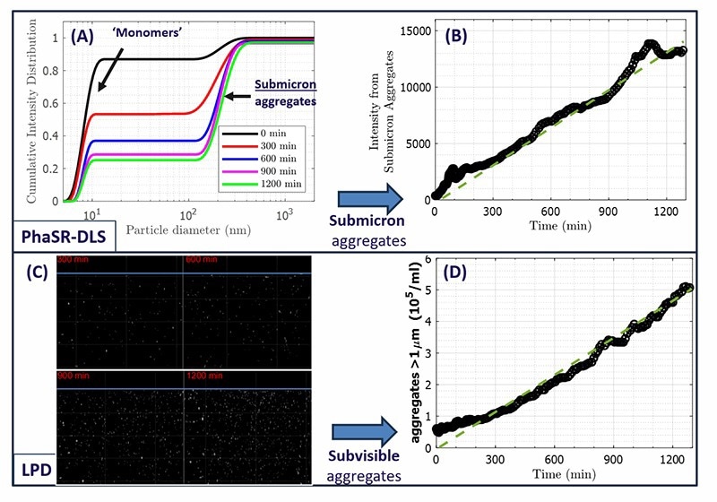Figure 2. A) Particle Size distributions from PhaSR-DLS, at the timepoints in Fig.1B). Prolonged circulation causes an increasing intensity fraction of submicron aggregates. B) Resulting scattered intensity from submicron aggregates increases approximately linearly with circulation time. C) Snapshots of LPD image series after different circulation times (for clarity, an intensity threshold was chosen to show particles >800nm in size). D) Concentration of ‘subvisible’ aggregates (size exceeding ∼1μm) from LPD histograms, as function of processing time. After the first ∼100min where pre-existing aggregates dominate, the aggregate concentration grows approximately linearly. Image Credit: InProcess-LSP