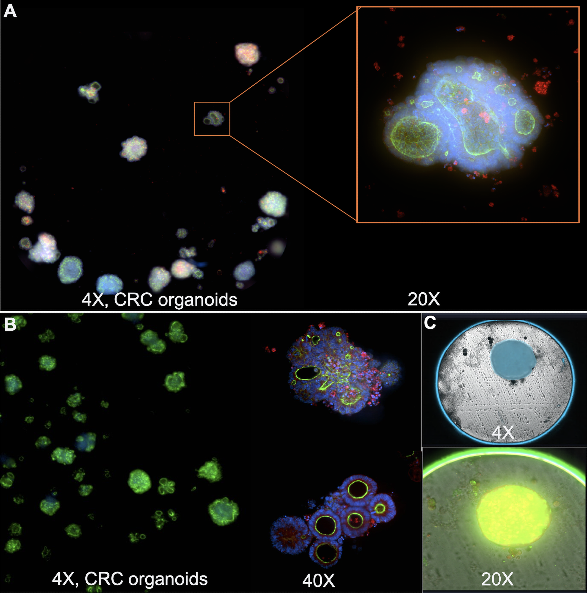 Image Credit: Molecular Devices