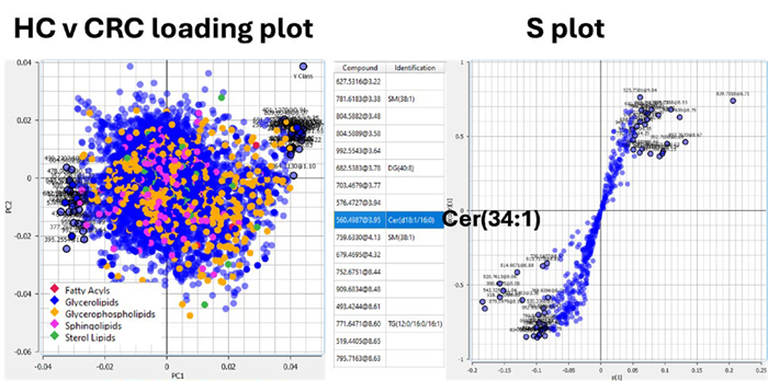 Various tool available in Lipostar to interrogate the most relevant features found to drive clustering of sample cohort groups