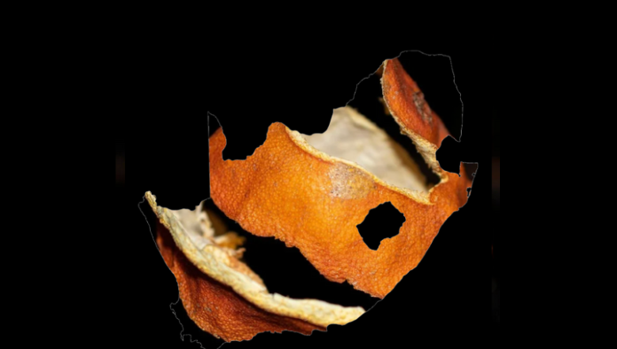 Researchers in South Africa used citrus peels to look for diabetes treatment options