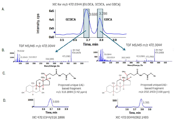Resolution of bile acid isomers using EAD-based fragmentation. GCDCA and GDCA are bile acid isomers that have identical CID-based MS/MS spectra. Using EAD, unique, diagnostic fragments were observed for each isomer (A and B) in a standard mixture (6.56 nM). Using the fragments pane in SCIEX OS, structures for each fragment, m/z 316.1886 and 262.1403, were proposed for GUDCA and GDCA, respectively (C). Using a 10 mDa XIC window, panel D shows the improved specificity of the analysis for the two standard