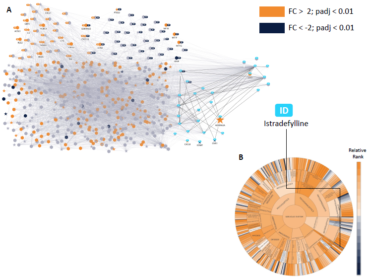 Astrocyte model with drug screening result