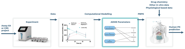 Advancing ADME studies using in silico tools