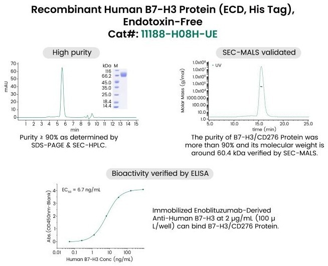 Premium ProPure™ Endotoxin-Free Protein